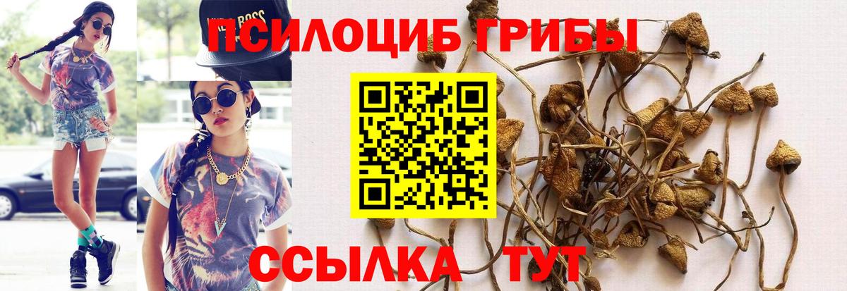 Псилоцибиновые грибы Psilocybine cubensis  Вход с VPN  Галлюциногенные грибы ЛСД  купить  цена  Сокол 